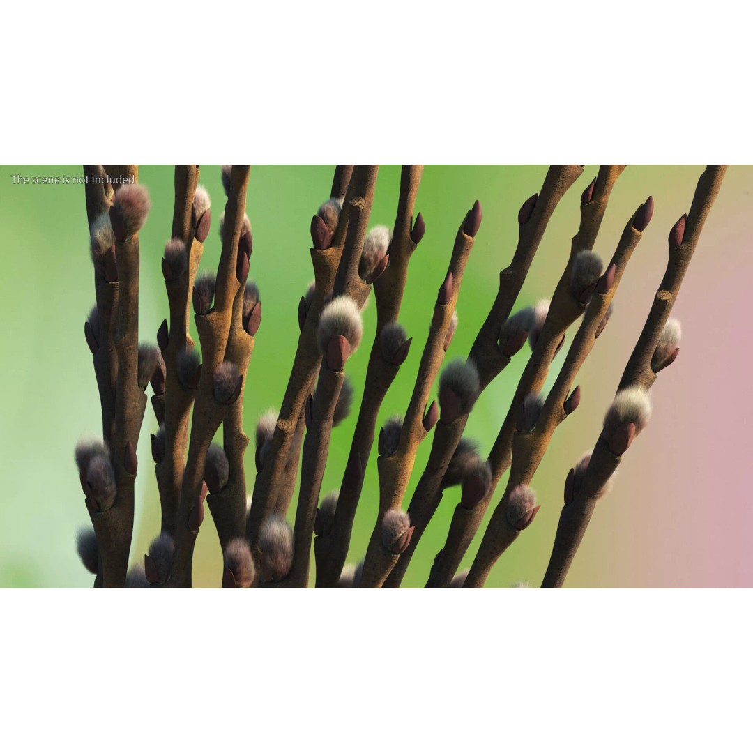 Sheaf of Willow Branches 3D Model – Realistic PBR Decorative Asset - View 4