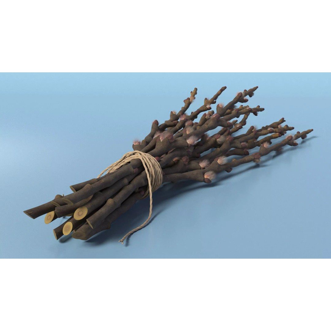 Sheaf of Willow Branches 3D Model – Realistic PBR Decorative Asset - View 5