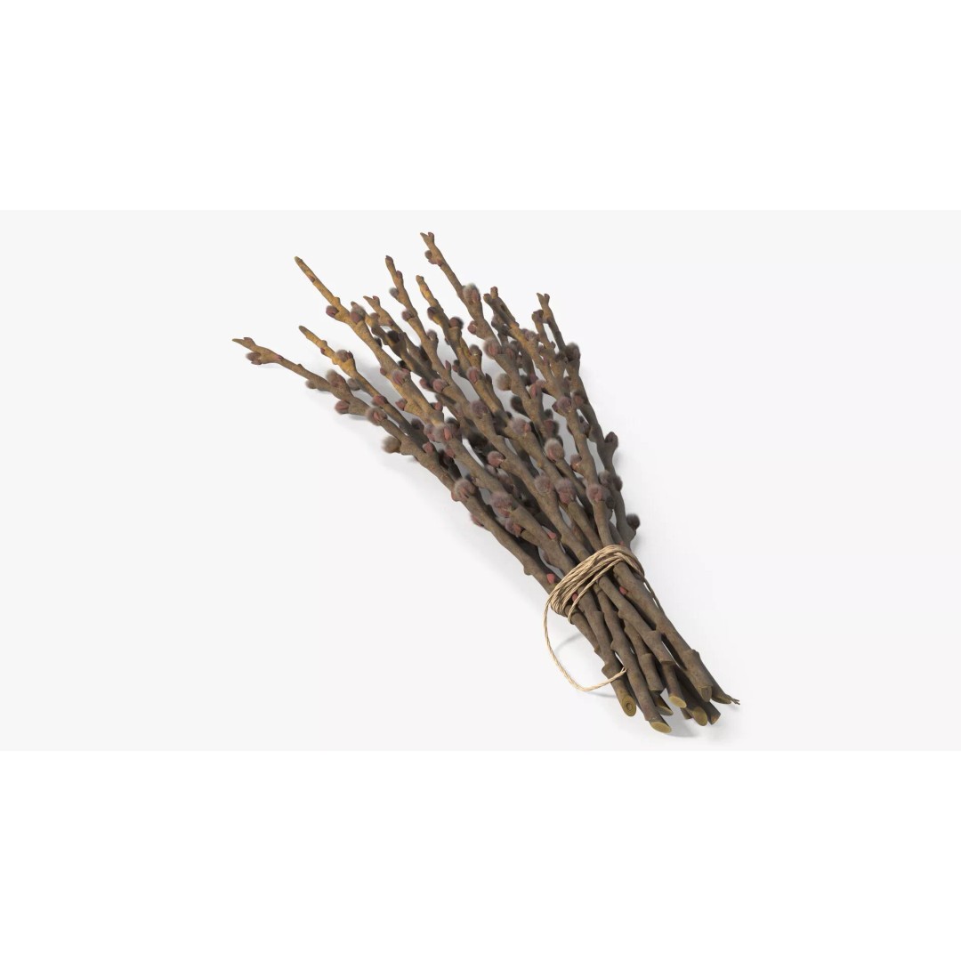 Sheaf of Willow Branches 3D Model – Realistic PBR Decorative Asset - View 6