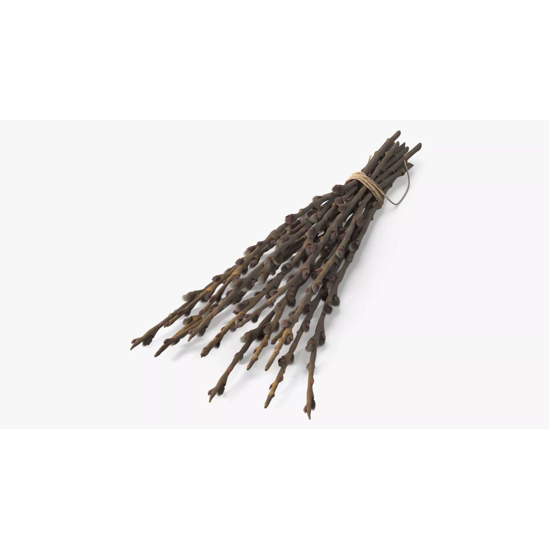 Sheaf of Willow Branches 3D Model – Realistic PBR Decorative Asset - View 7