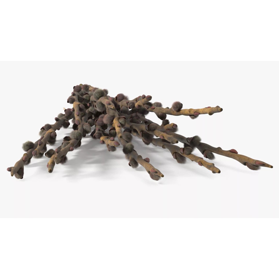 Sheaf of Willow Branches 3D Model – Realistic PBR Decorative Asset - View 8