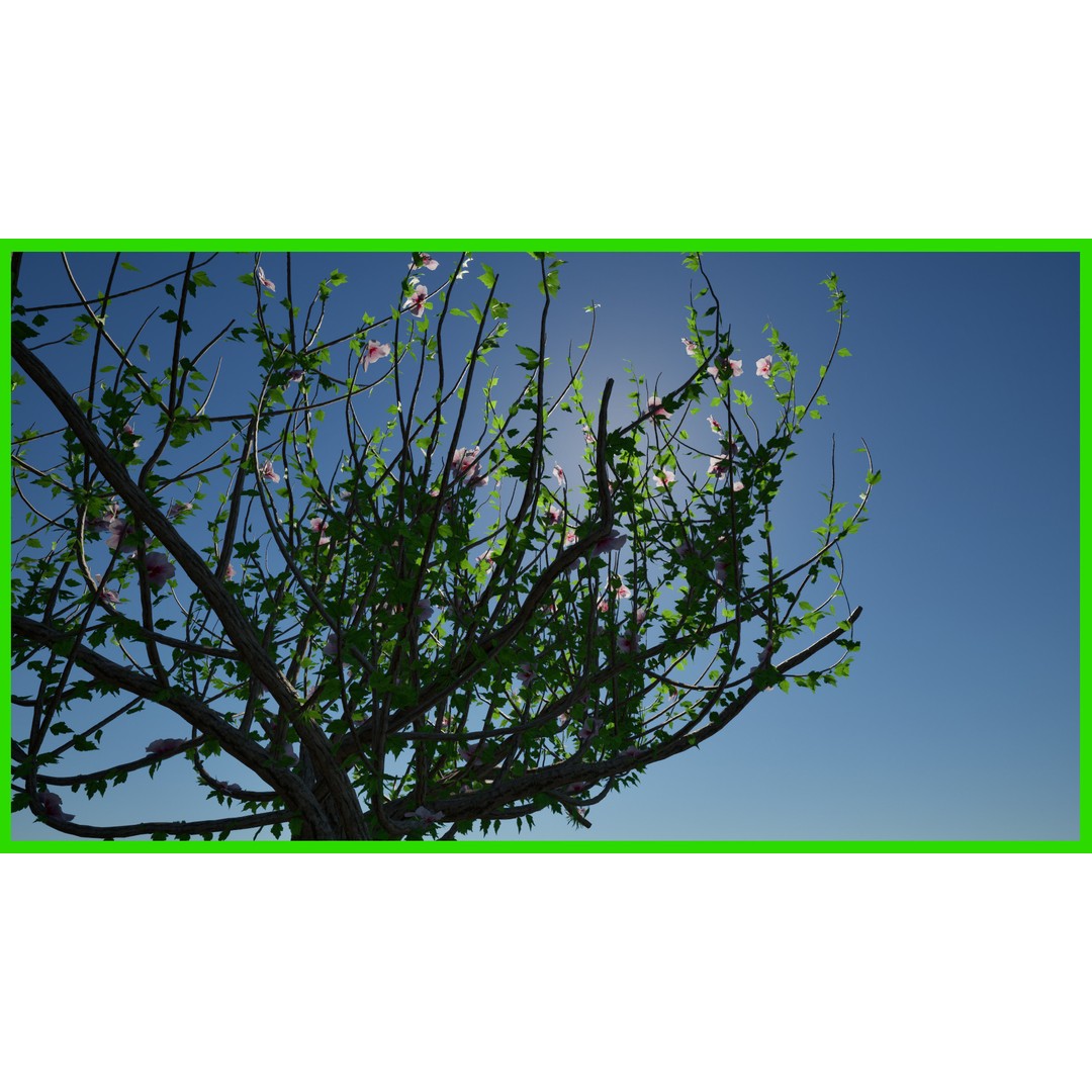 Foliage Material 3D Model – Unreal Engine 5 Optimized Asset - View 3