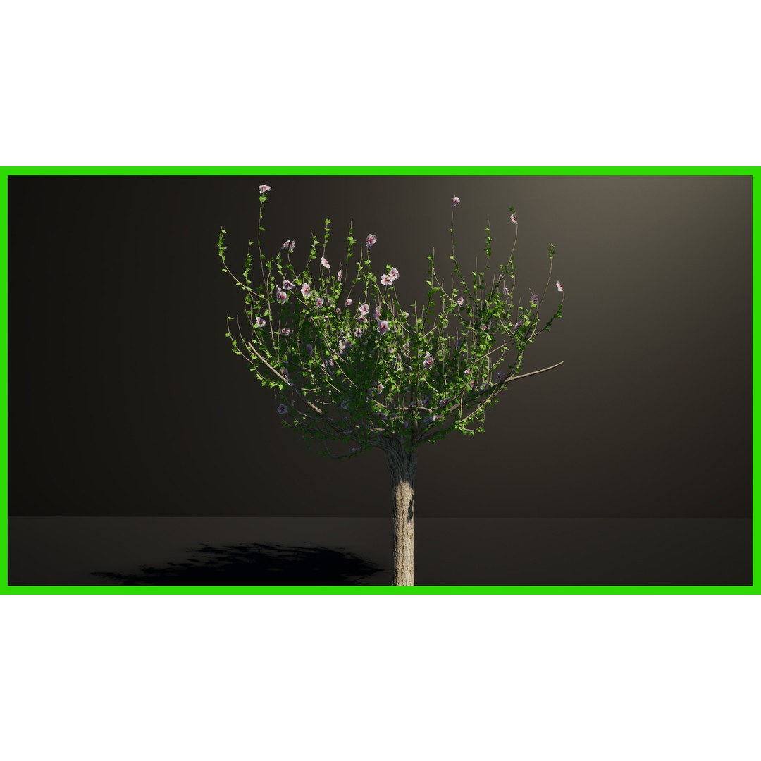 Foliage Material 3D Model – Unreal Engine 5 Optimized Asset - View 4