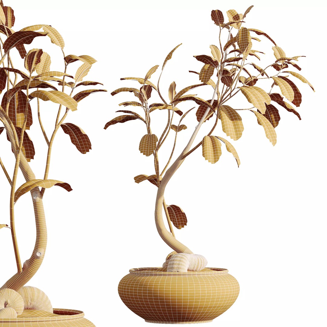 Indoor Plants 3D Model – Realistic Banana, Olive & Ficus Set, FBX