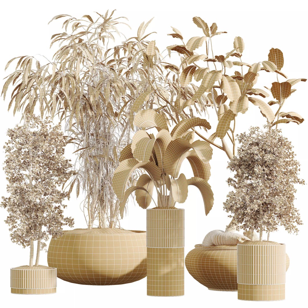 Indoor Plants 3D Model – Realistic Banana, Olive & Ficus Set, FBX - View 10