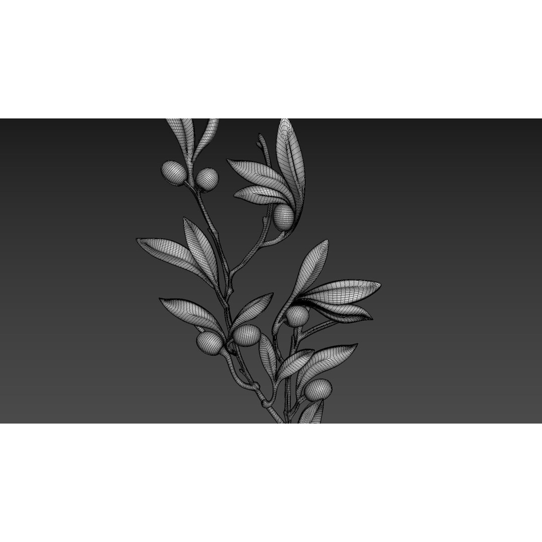 Olive Branch 3D Model – Wood Carving CNC Relief, OBJ & STL - View 6