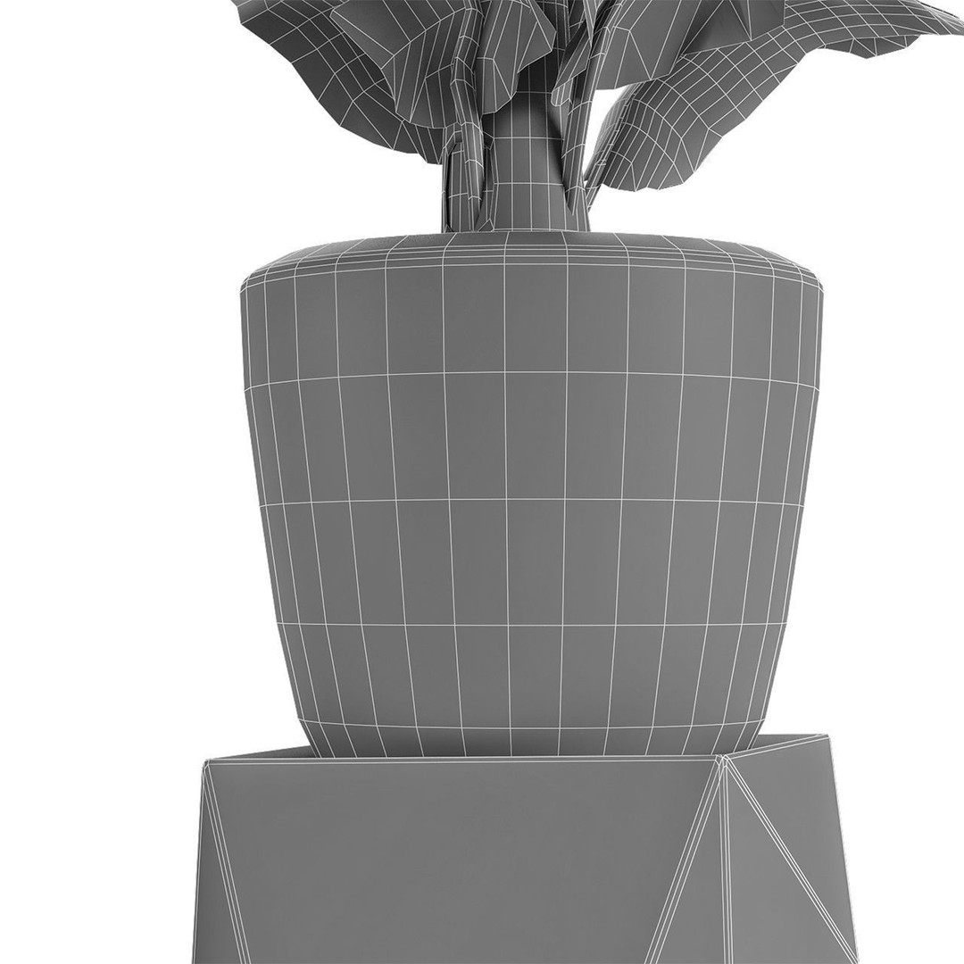 Exotic Plants 3D Model – Decorative Palm Trees, FBX, OBJ - View 10