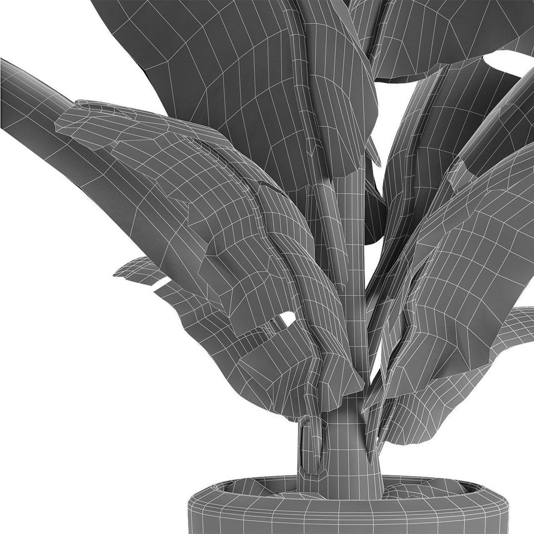 Exotic Plants 3D Model – Decorative Palm Trees, FBX, OBJ - View 13