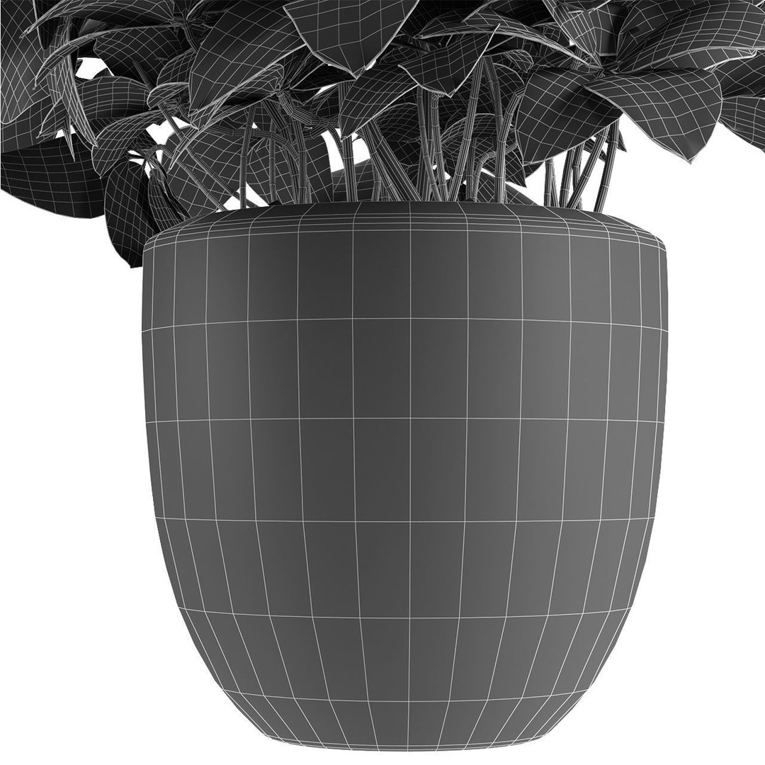 Exotic Plants 3D Model – Decorative Palm Trees, FBX, OBJ - View 18