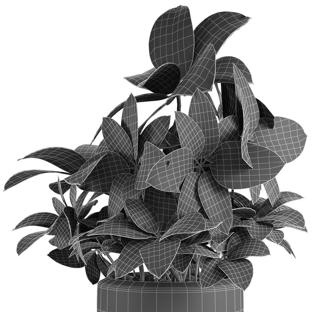 Exotic Plants 3D Model – Decorative Palm Trees, FBX, OBJ - View 19