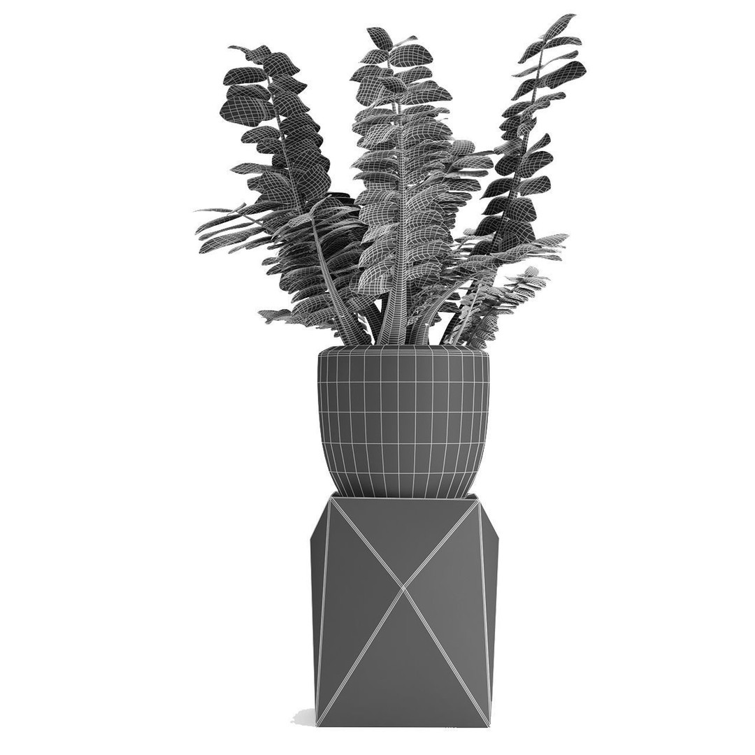 Exotic Plants 3D Model – Decorative Palm Trees, FBX, OBJ - View 24