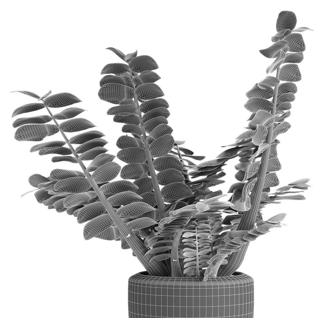 Exotic Plants 3D Model – Decorative Palm Trees, FBX, OBJ - View 27
