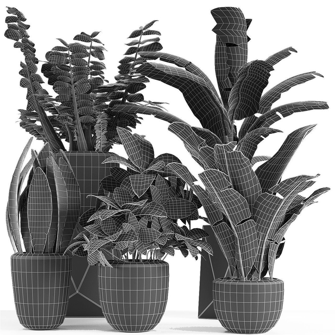 Exotic Plants 3D Model – Decorative Palm Trees, FBX, OBJ - View 4