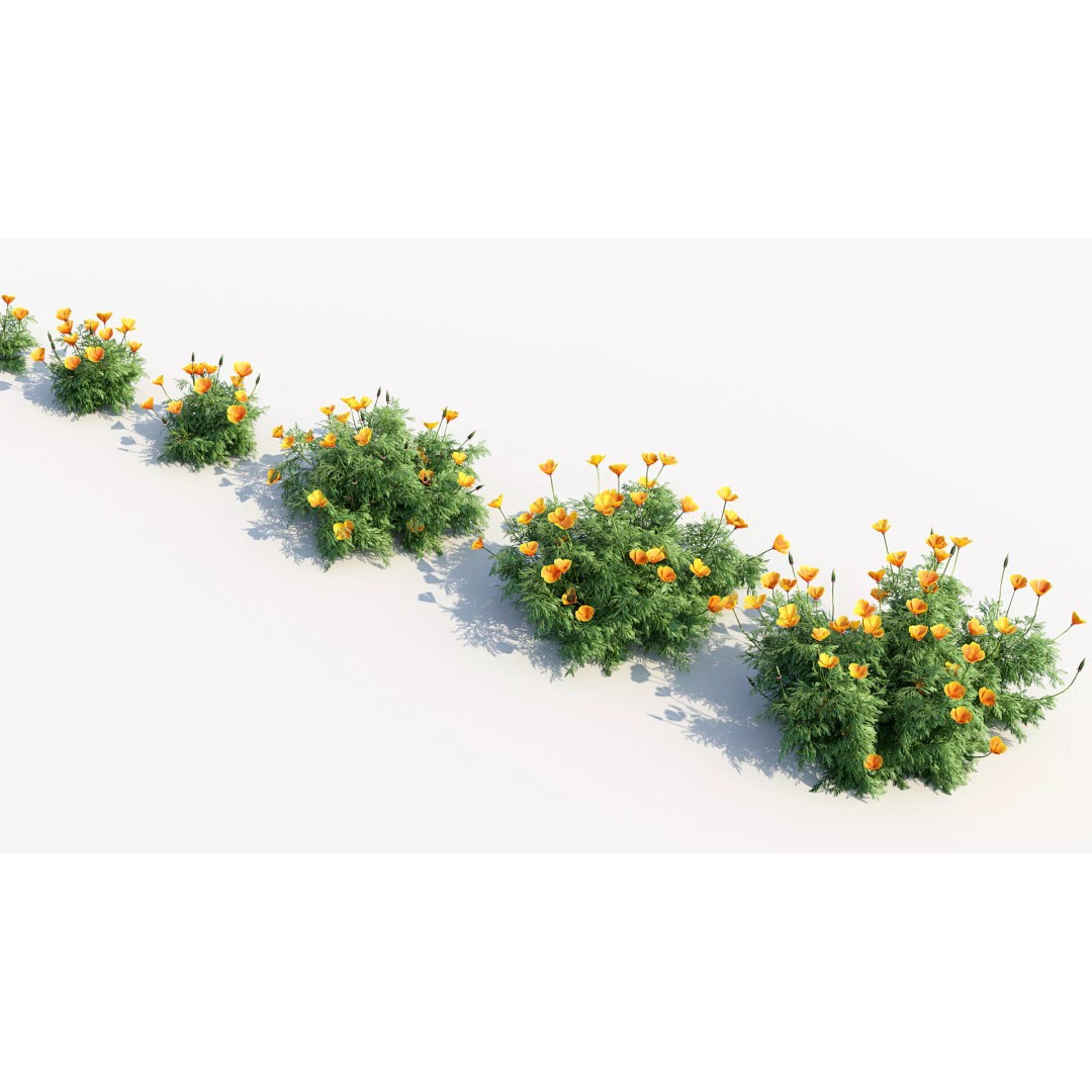 California Poppy 3D Model – Realistic Flower Asset, FBX and OBJ