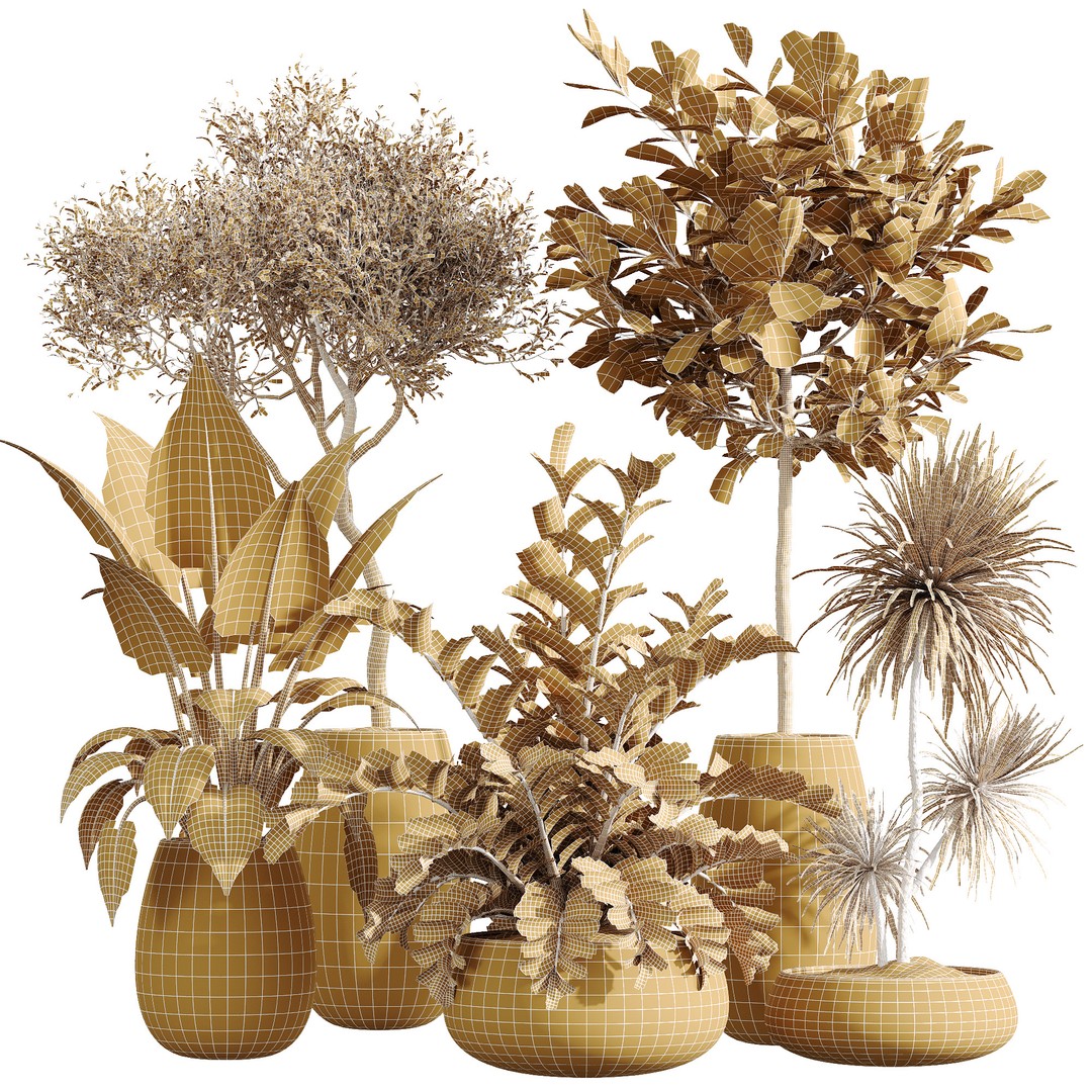 Indoor Plants Set 3D Model – PBR Pot Plants in Modern Planters