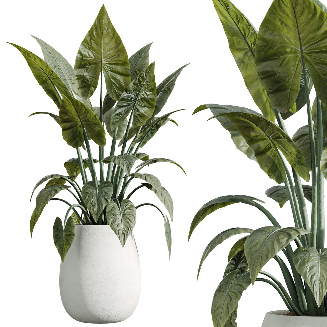 Indoor Plants Set 3D Model – PBR Pot Plants in Modern Planters - View 4