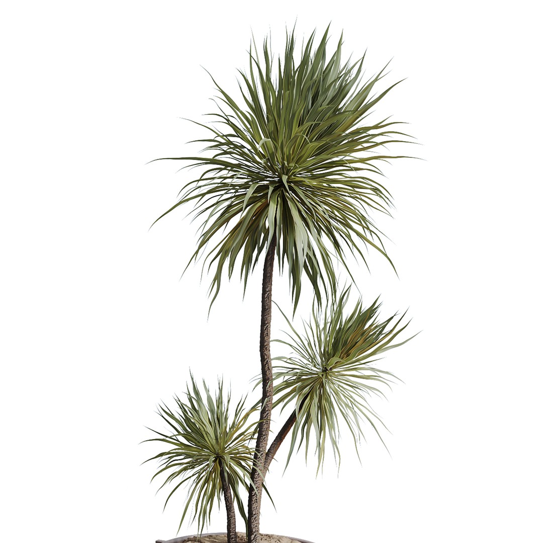Indoor Plants Set 3D Model – PBR Pot Plants in Modern Planters - View 6