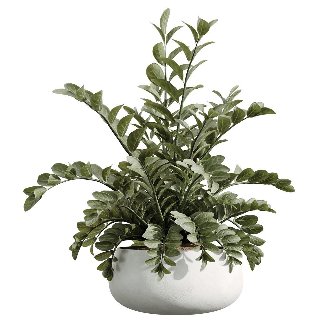 Indoor Plants Set 3D Model – PBR Pot Plants in Modern Planters - View 7