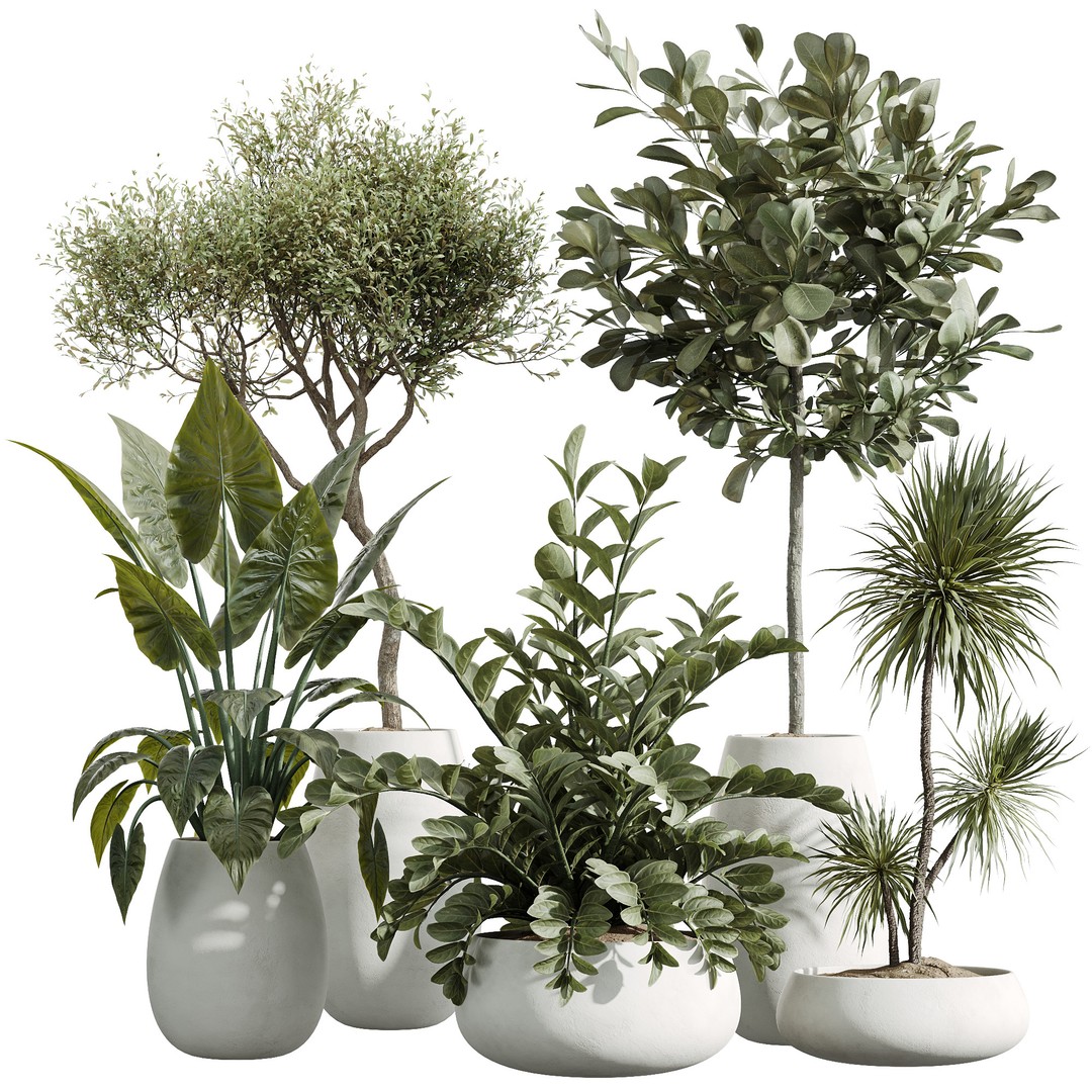 Indoor Plants Set 3D Model – PBR Pot Plants in Modern Planters - View 8