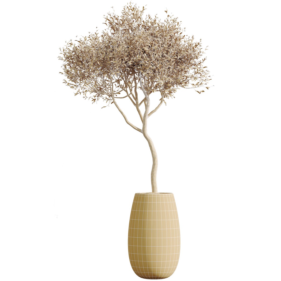 Indoor Plants Set 3D Model – PBR Pot Plants in Modern Planters - View 9