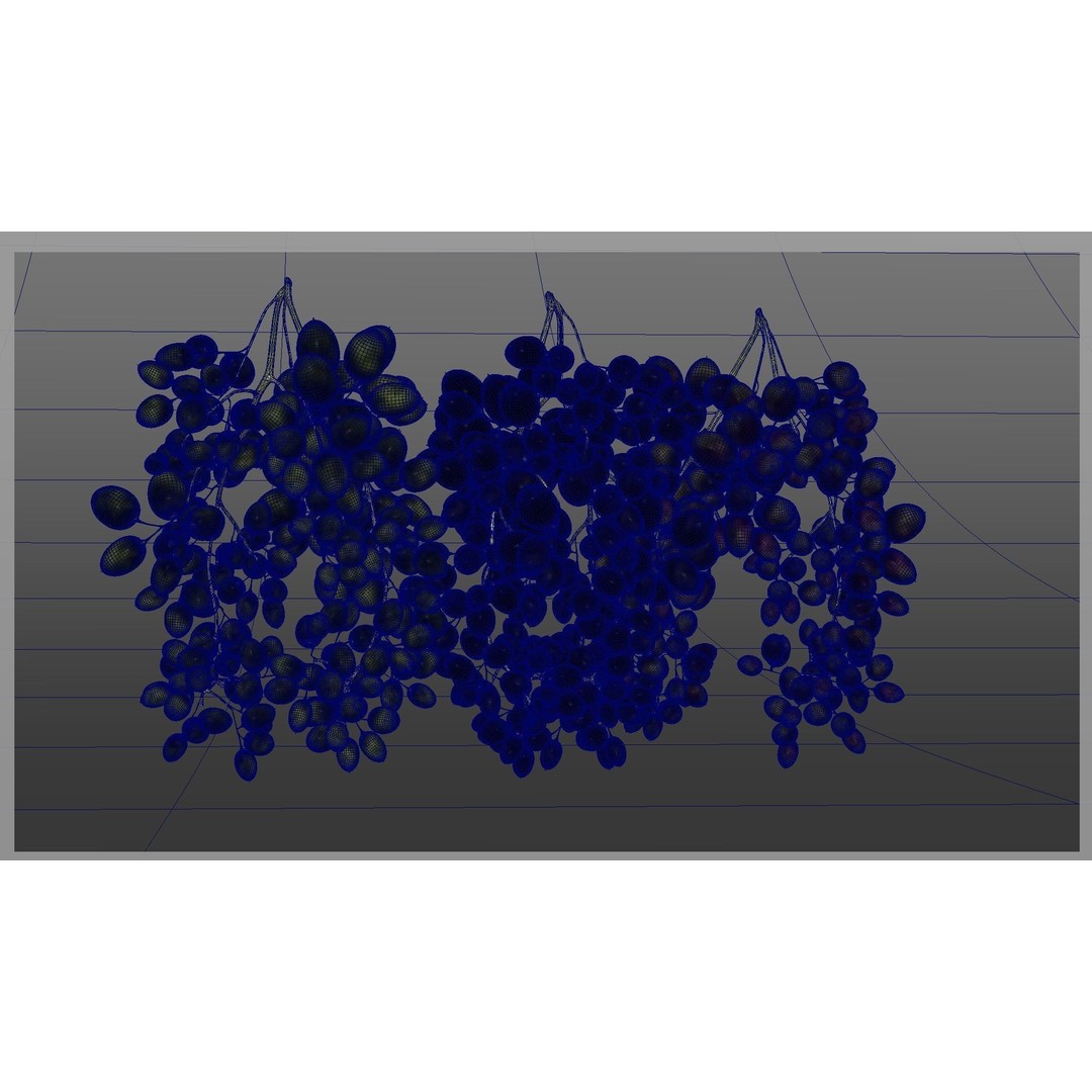 Grape 3D Model – Realistic High Poly Asset, FBX, PBR Textures