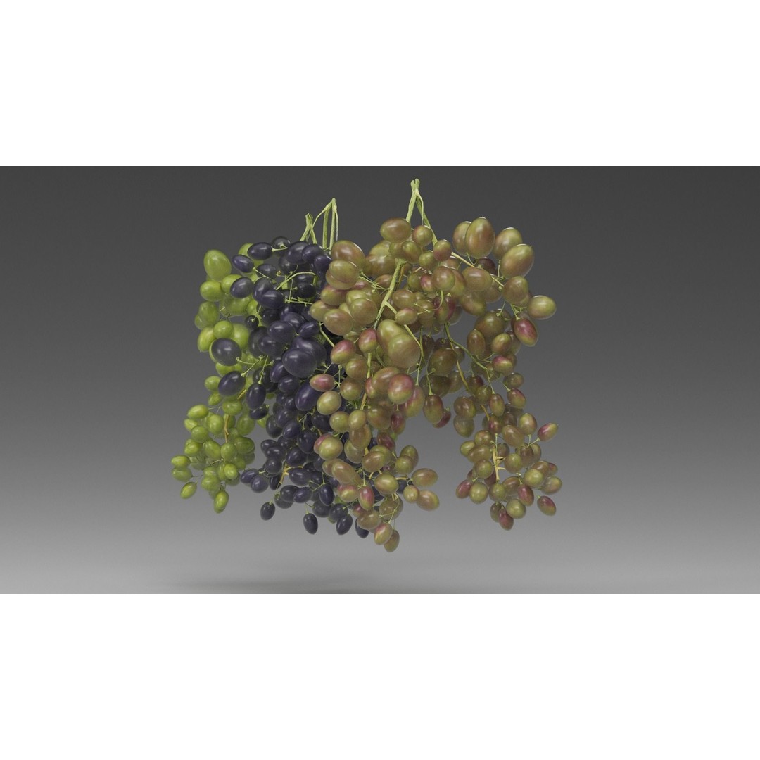 Grape 3D Model – Realistic High Poly Asset, FBX, PBR Textures - View 10