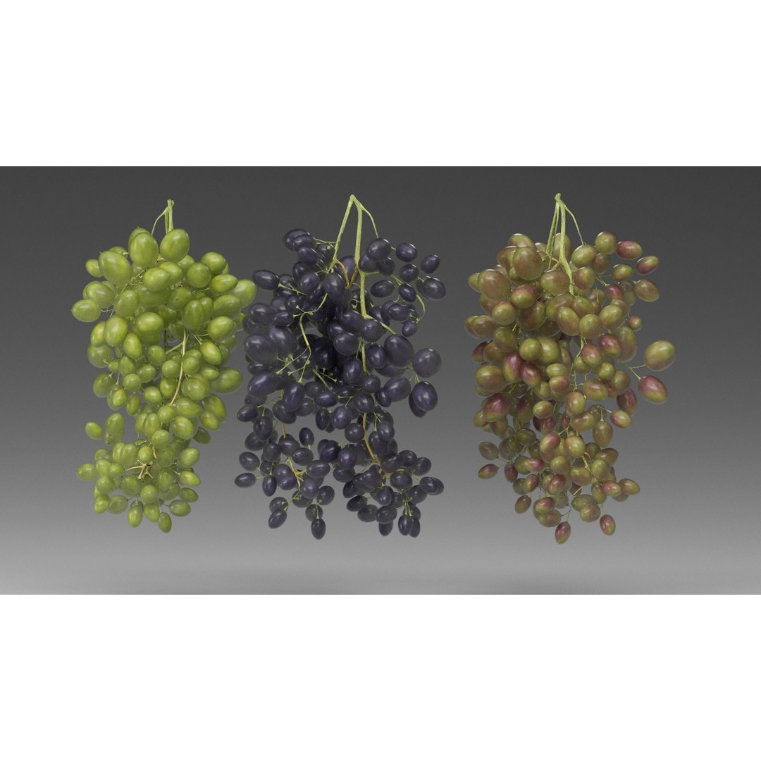 Grape 3D Model – Realistic High Poly Asset, FBX, PBR Textures - View 13