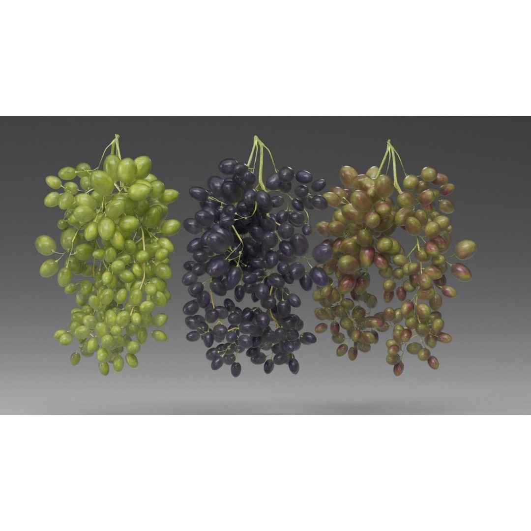 Grape 3D Model – Realistic High Poly Asset, FBX, PBR Textures - View 14