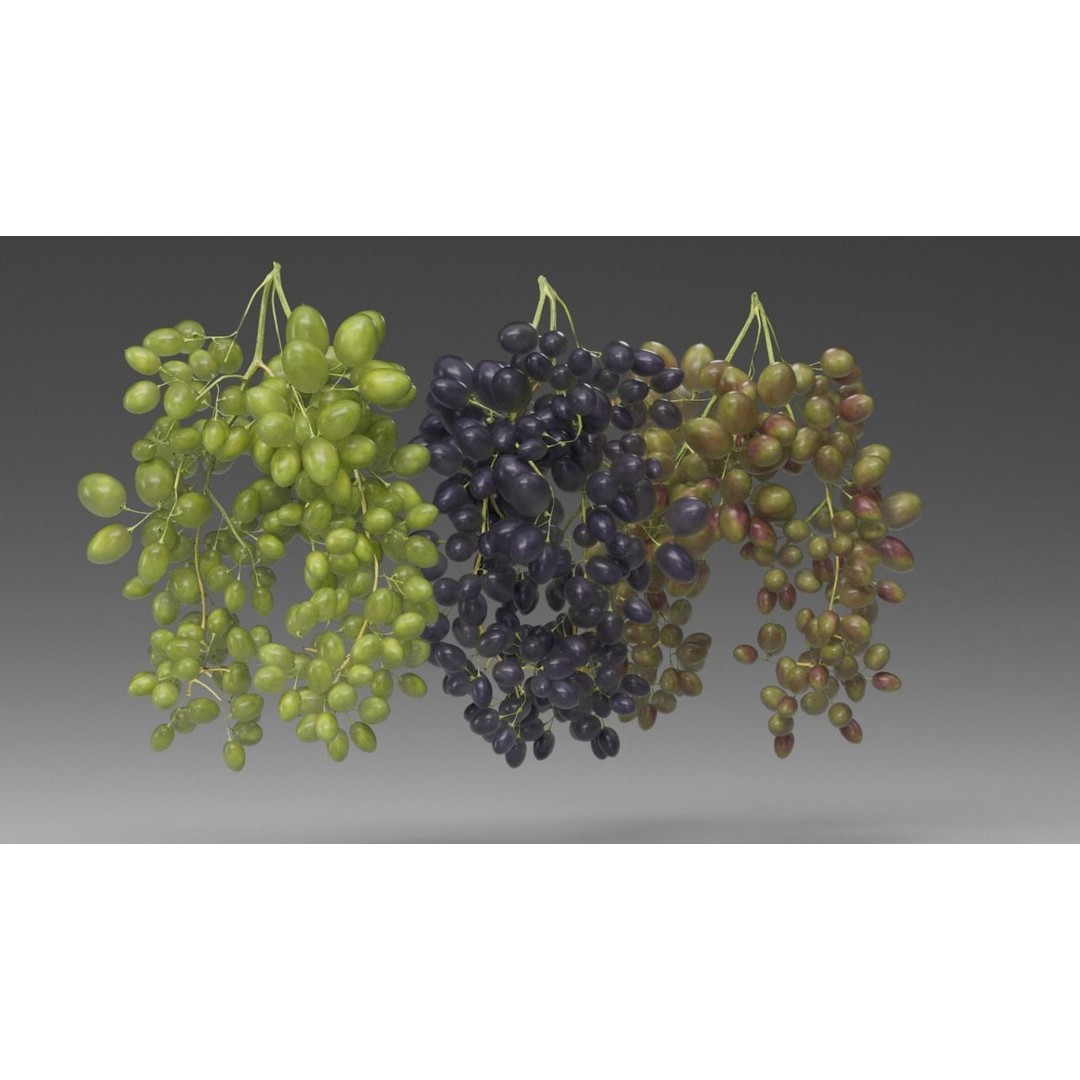 Grape 3D Model – Realistic High Poly Asset, FBX, PBR Textures - View 15