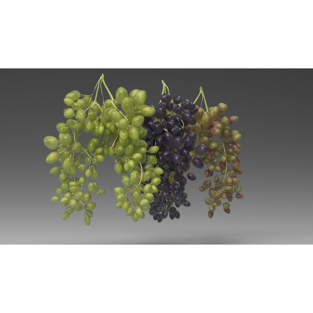 Grape 3D Model – Realistic High Poly Asset, FBX, PBR Textures - View 16