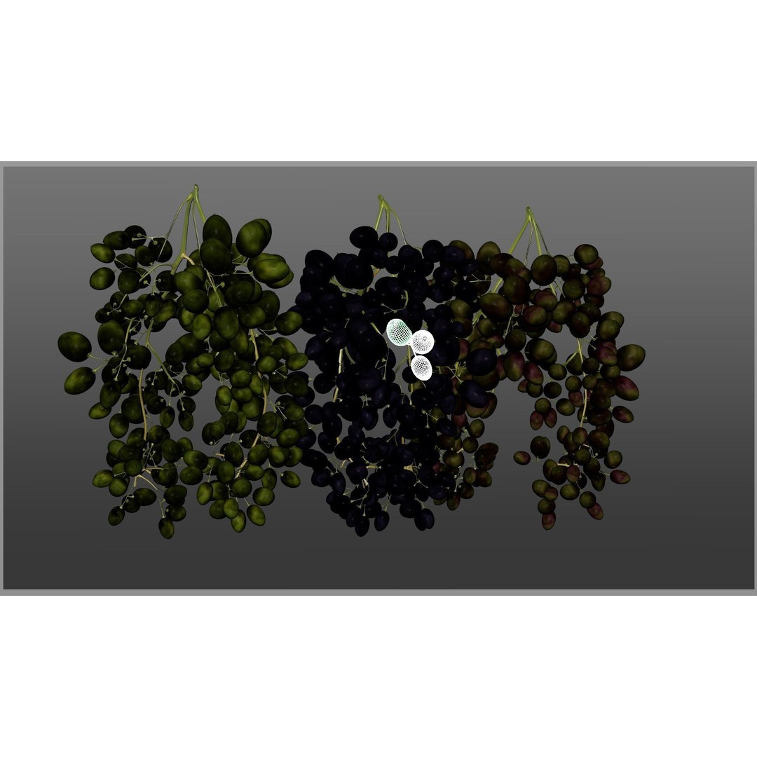 Grape 3D Model – Realistic High Poly Asset, FBX, PBR Textures - View 18