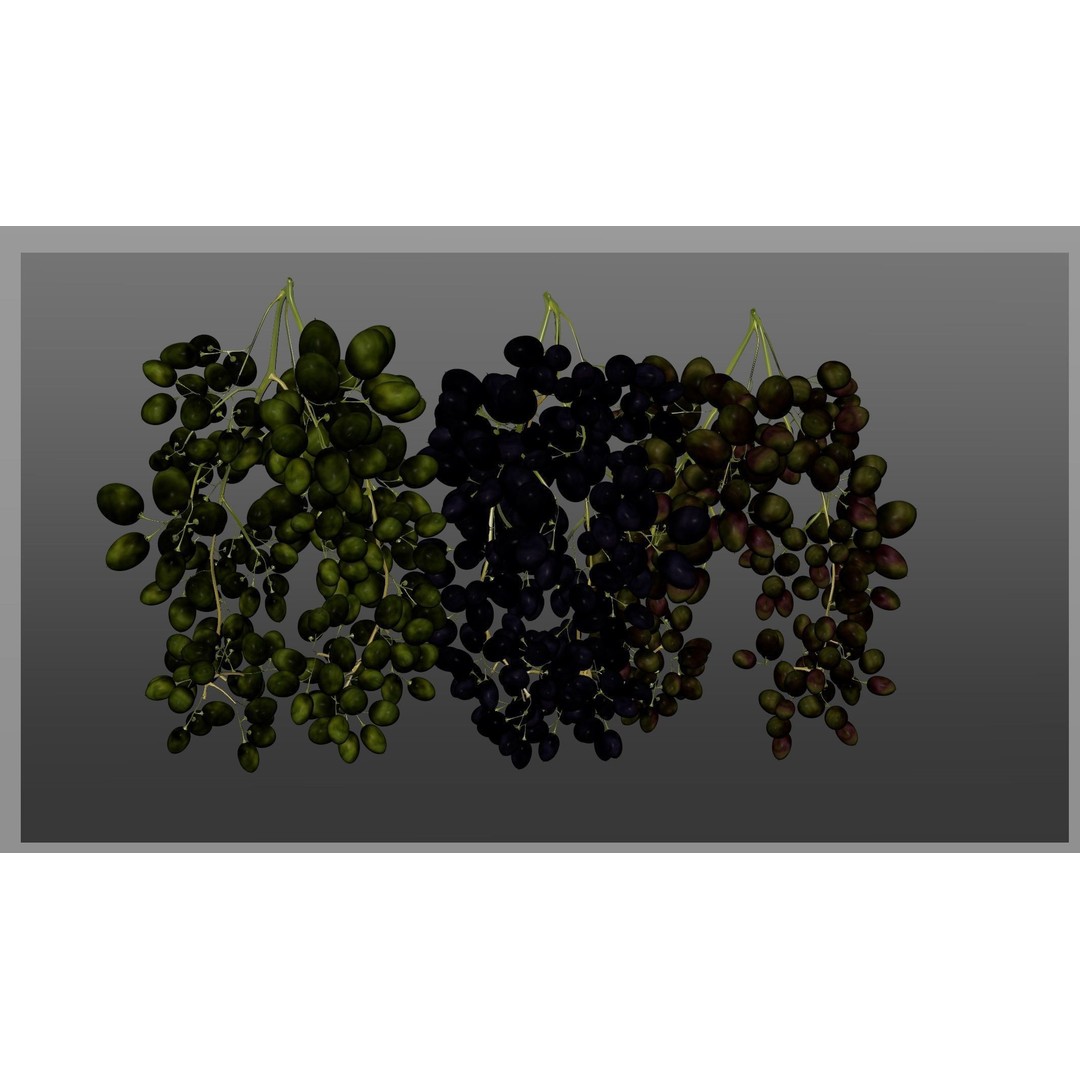 Grape 3D Model – Realistic High Poly Asset, FBX, PBR Textures - View 19