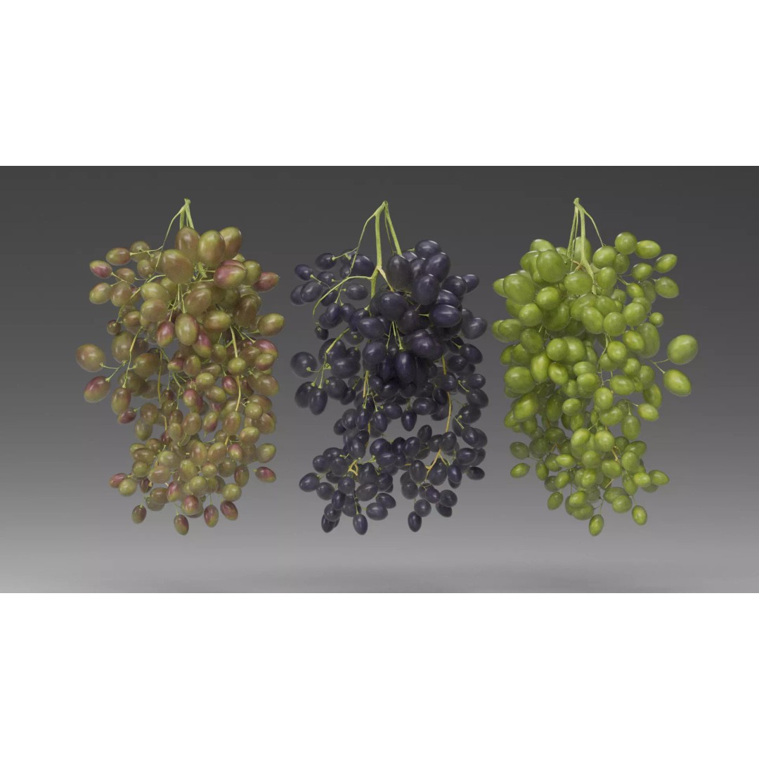 Grape 3D Model – Realistic High Poly Asset, FBX, PBR Textures - View 2