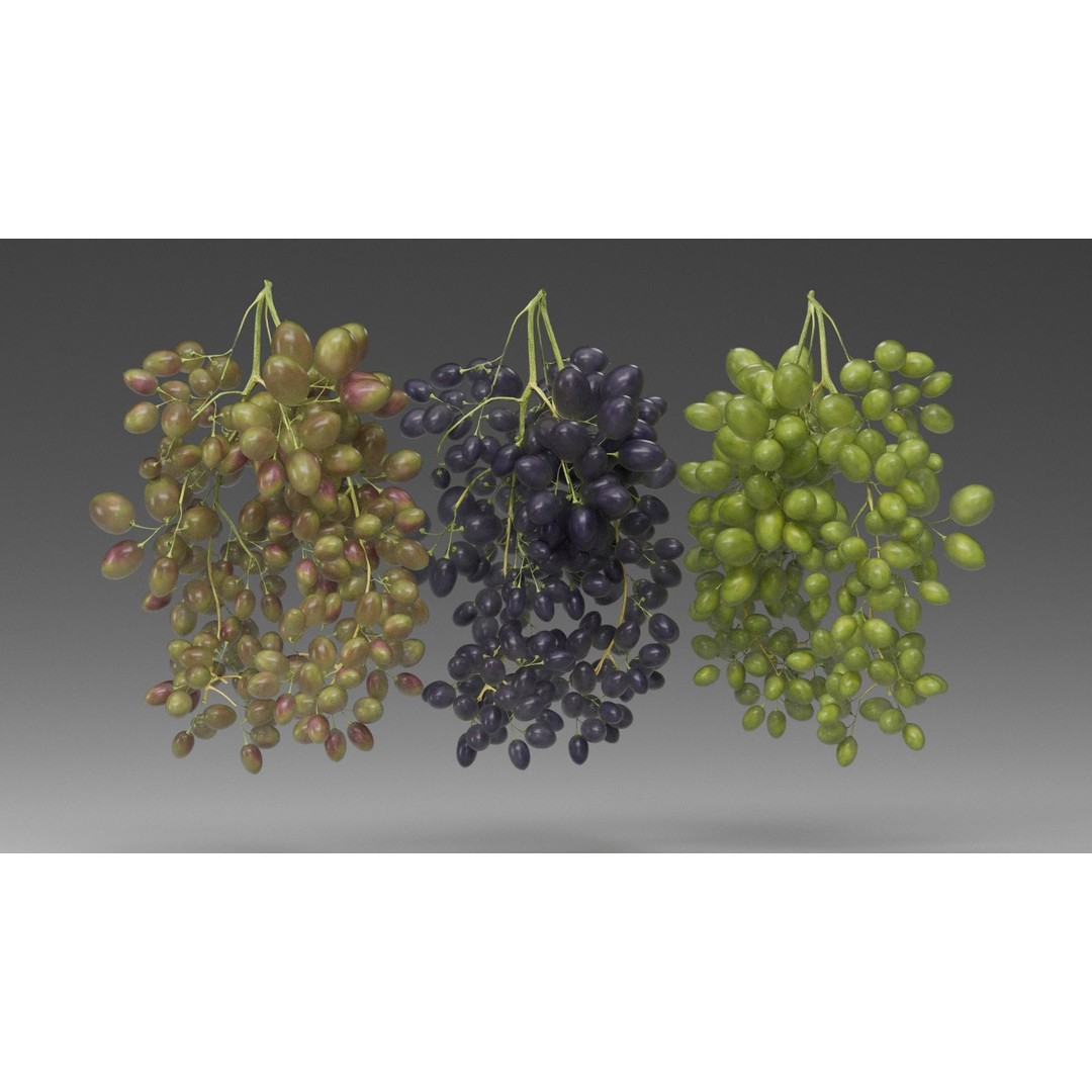 Grape 3D Model – Realistic High Poly Asset, FBX, PBR Textures - View 4