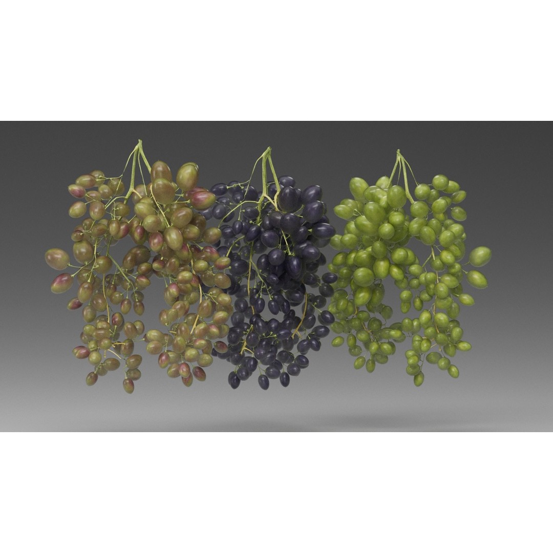 Grape 3D Model – Realistic High Poly Asset, FBX, PBR Textures - View 5