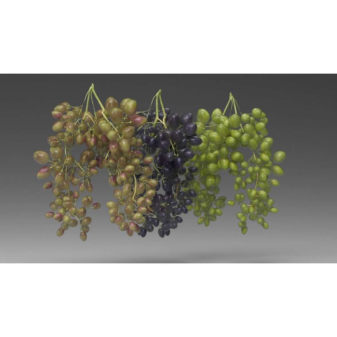 Grape 3D Model – Realistic High Poly Asset, FBX, PBR Textures - View 6