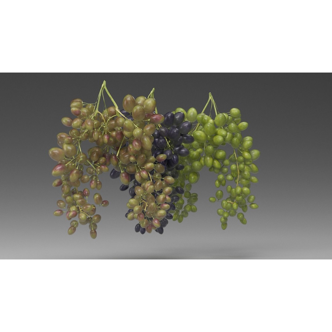 Grape 3D Model – Realistic High Poly Asset, FBX, PBR Textures - View 7