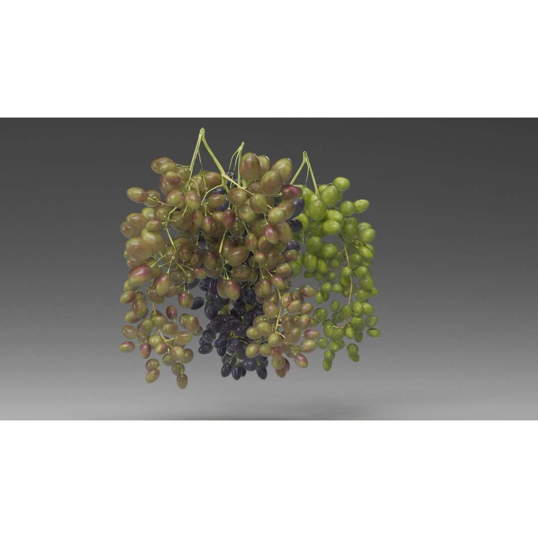 Grape 3D Model – Realistic High Poly Asset, FBX, PBR Textures - View 8