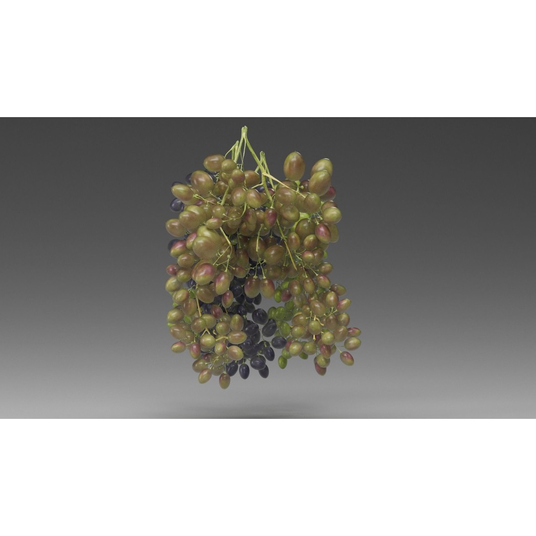 Grape 3D Model – Realistic High Poly Asset, FBX, PBR Textures - View 9