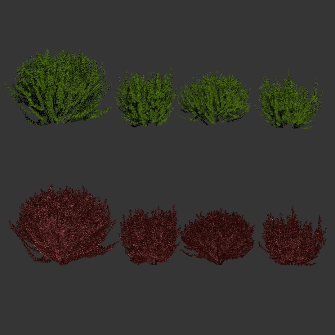 Evergreen Spindle Bushes 3D Model – High Poly PBR Asset, FBX, OBJ