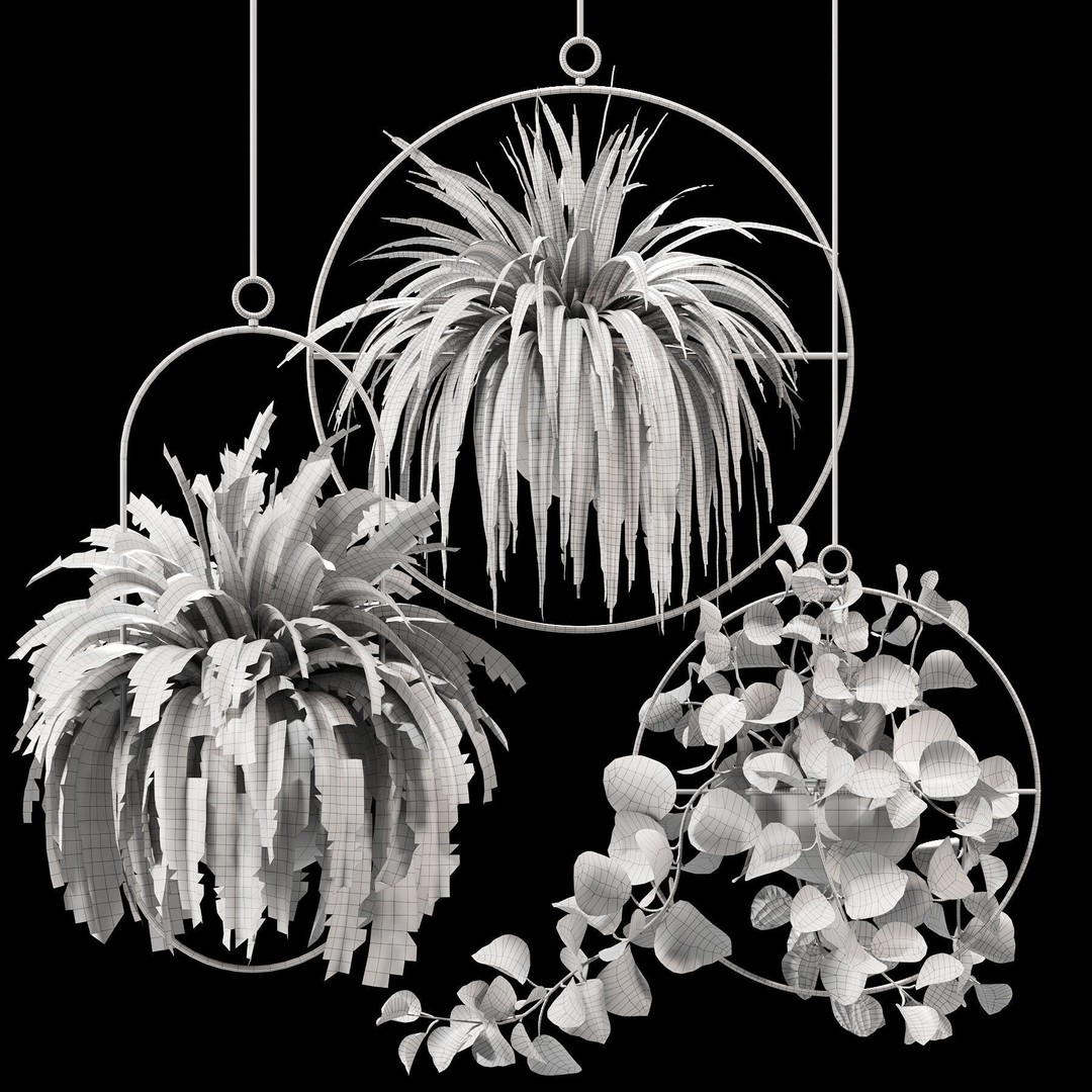 Hanging Houseplants 3D Model – Modern Decorative Set, FBX & OBJ