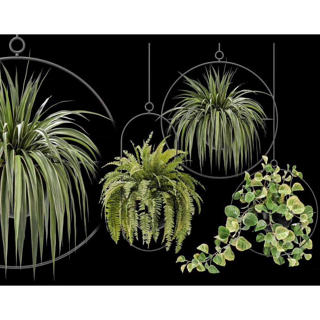 Hanging Houseplants 3D Model – Modern Decorative Set, FBX & OBJ - View 2
