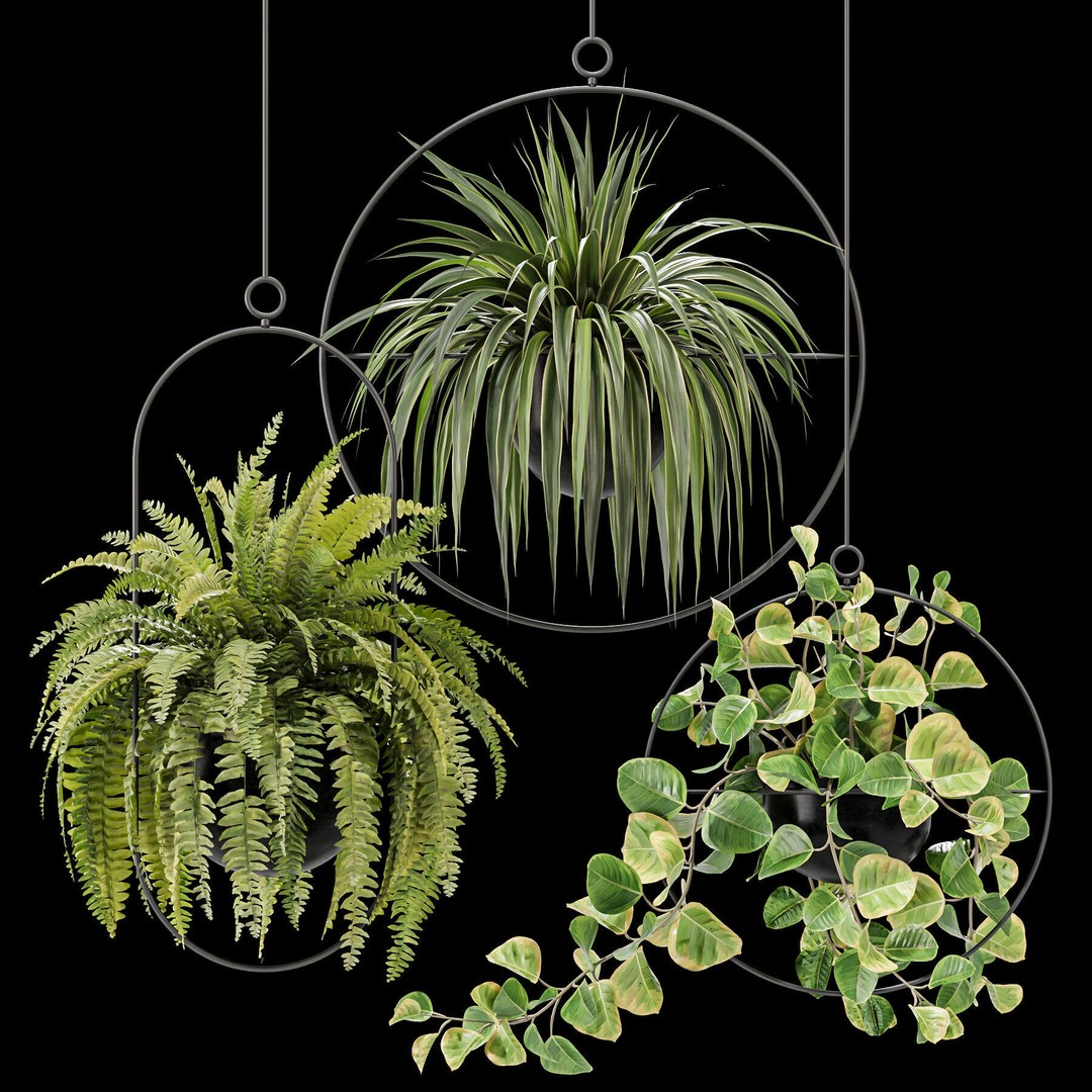 Hanging Houseplants 3D Model – Modern Decorative Set, FBX & OBJ - View 3