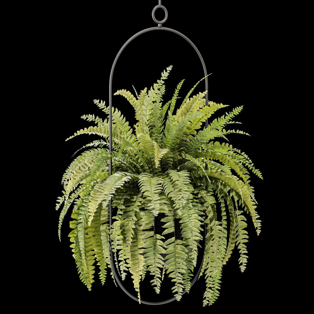 Hanging Houseplants 3D Model – Modern Decorative Set, FBX & OBJ - View 4