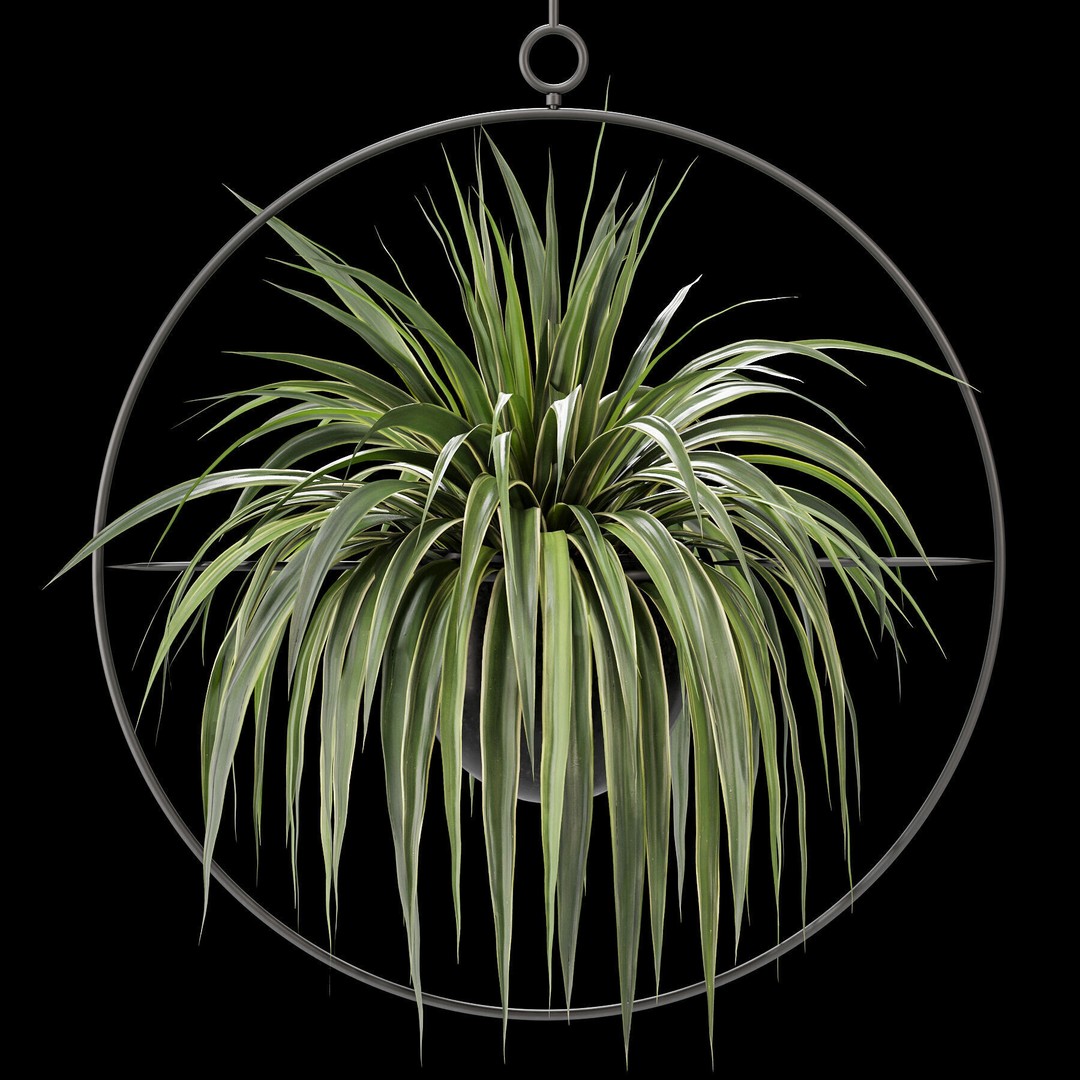 Hanging Houseplants 3D Model – Modern Decorative Set, FBX & OBJ - View 5