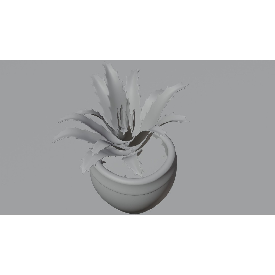 Succulent Plant 3D Model – Realistic PBR Asset, FBX & OBJ