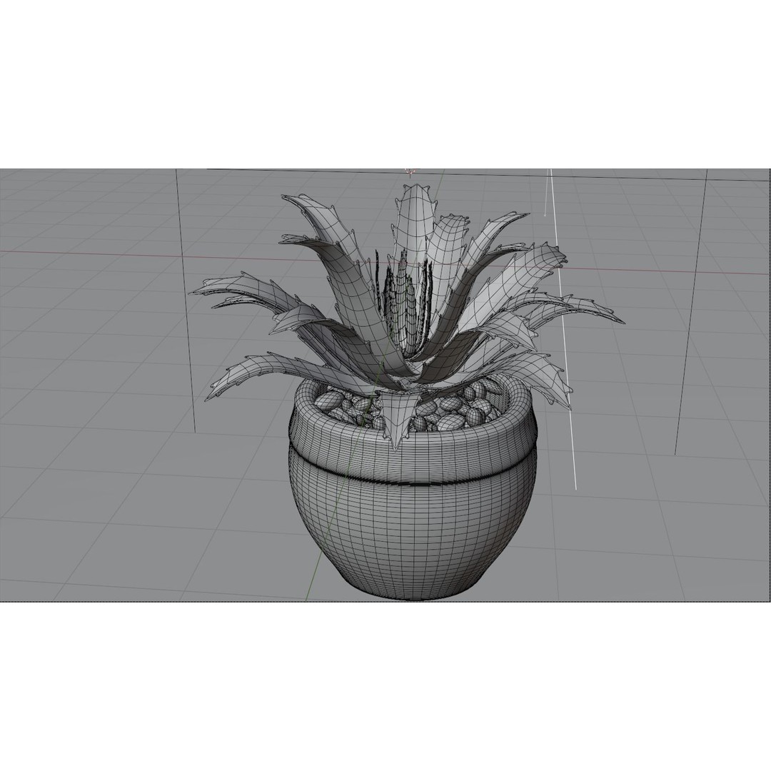 Succulent Plant 3D Model – Realistic PBR Asset, FBX & OBJ - View 10
