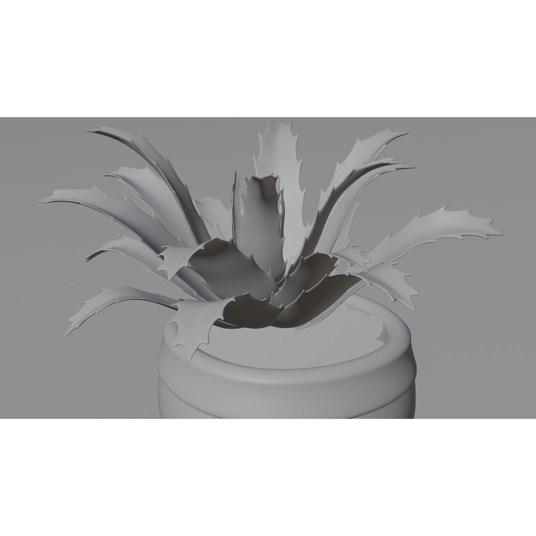 Succulent Plant 3D Model – Realistic PBR Asset, FBX & OBJ - View 11