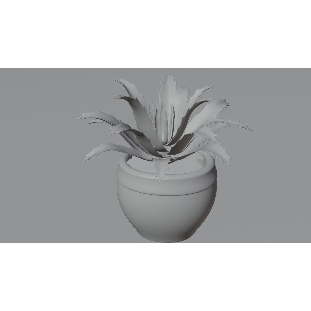 Succulent Plant 3D Model – Realistic PBR Asset, FBX & OBJ - View 12