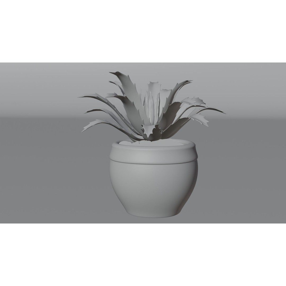 Succulent Plant 3D Model – Realistic PBR Asset, FBX & OBJ - View 13